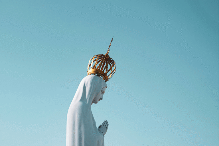 Lee más sobre el artículo La figura de la Virgen María en la historia de la salvación