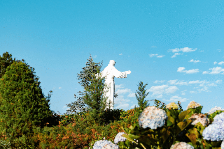 Lee más sobre el artículo San Francisco y la alegría de vivir el Evangelio