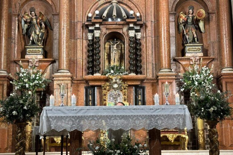 Lee más sobre el artículo Hora Apostólica San Miguel – octubre de 2025